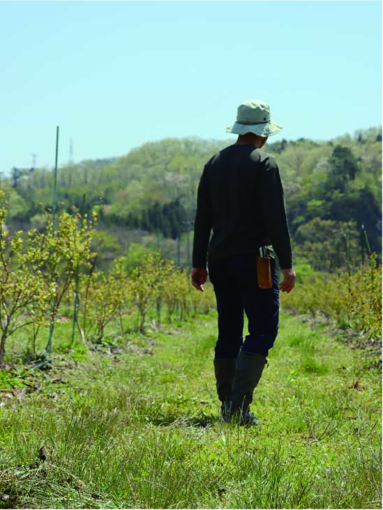 BLUE BLUEBERRY FARM ブルーベリー
